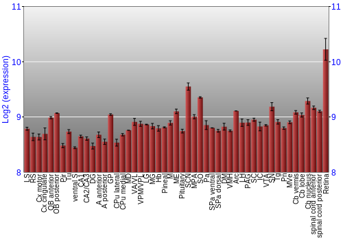 Expression graph