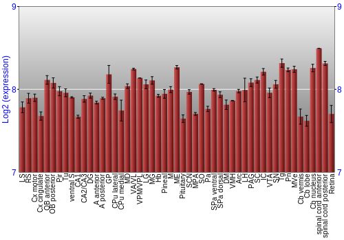 Expression graph