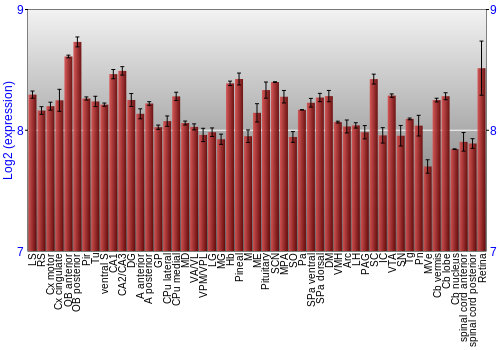 Expression graph