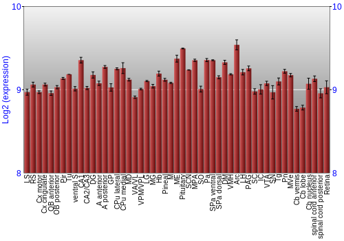 Expression graph