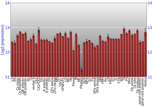 Expression graph