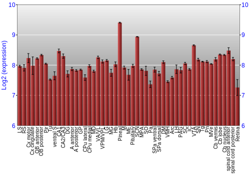 Expression graph