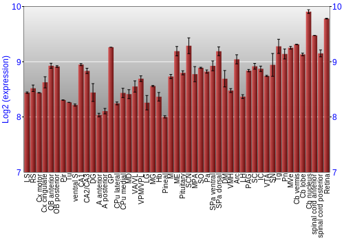Expression graph