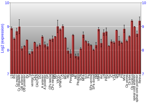 Expression graph