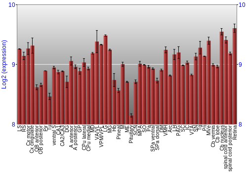 Expression graph