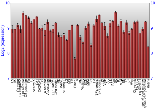 Expression graph