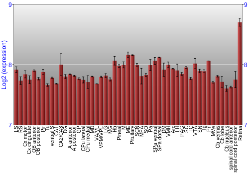 Expression graph