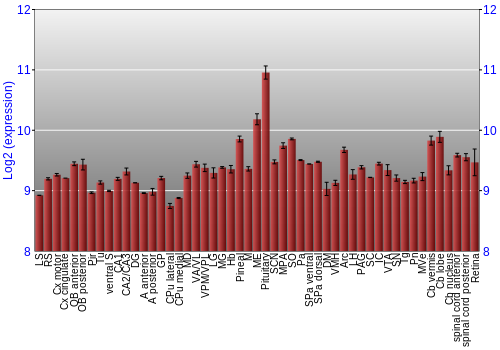 Expression graph