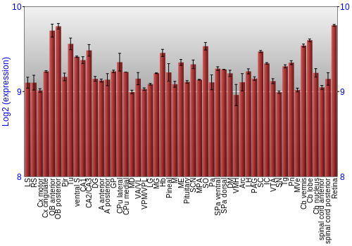 Expression graph