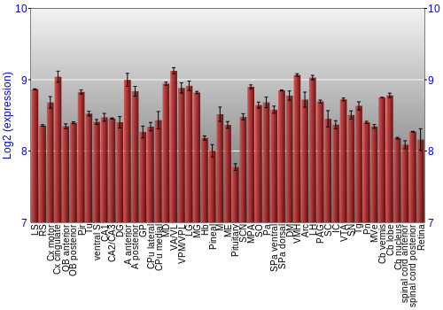 Expression graph