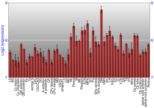 Expression graph
