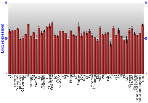 Expression graph