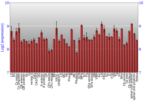 Expression graph
