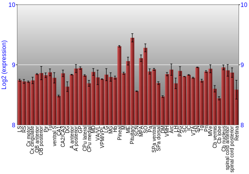 Expression graph