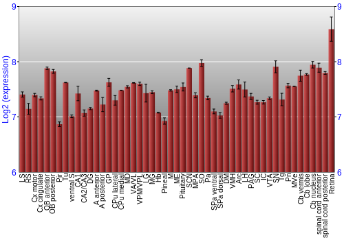 Expression graph