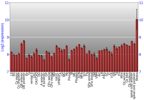 Expression graph