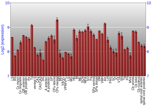Multi-state expression graph