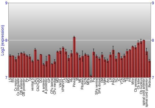 Expression graph