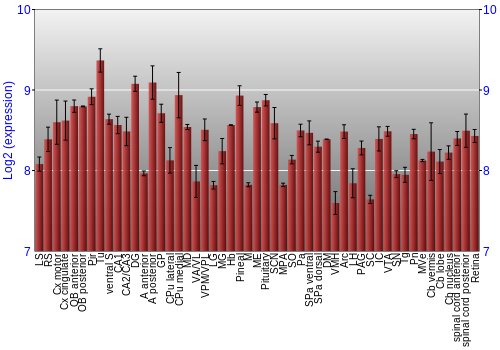 Expression graph