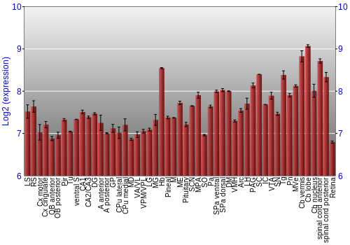 Expression graph