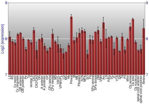 Expression graph