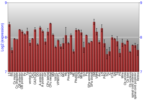 Expression graph