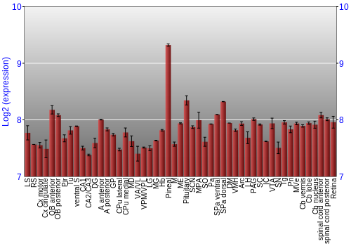 Expression graph