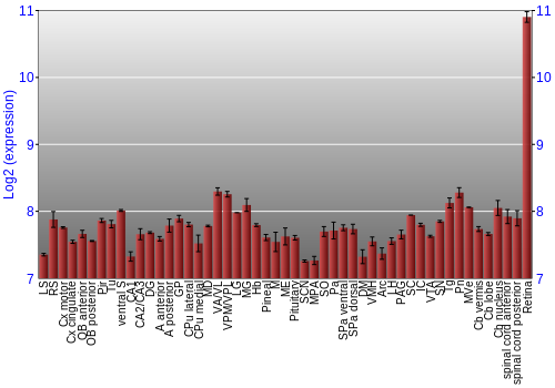Expression graph