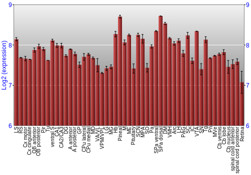Expression graph