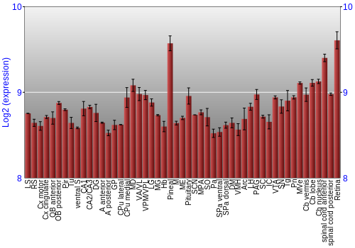 Expression graph