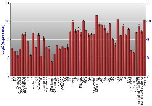 Expression graph