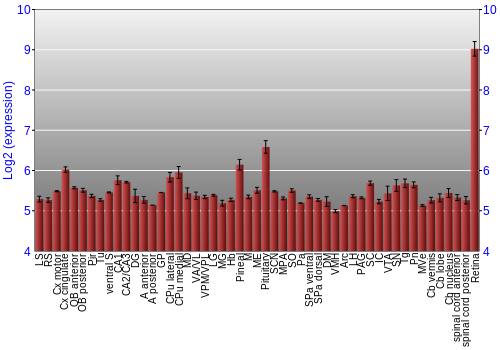Expression graph
