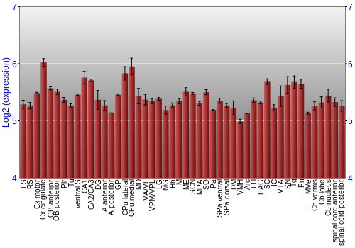 Multi-state expression graph