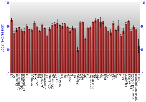 Expression graph