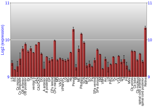 Expression graph