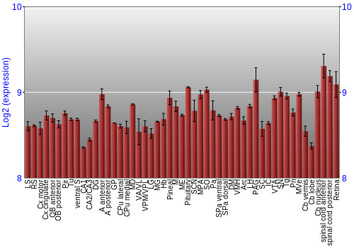 Expression graph