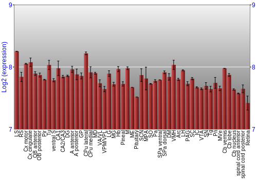 Expression graph