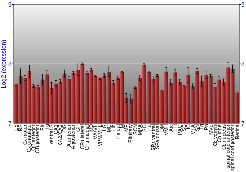 Expression graph