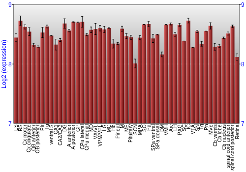 Expression graph