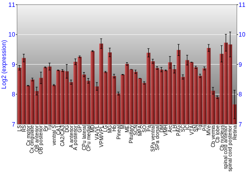 Expression graph