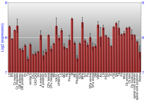 Expression graph