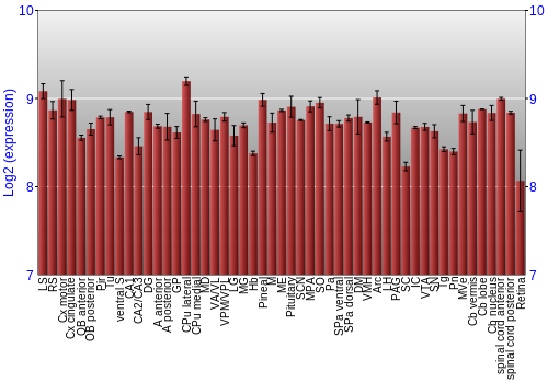 Expression graph