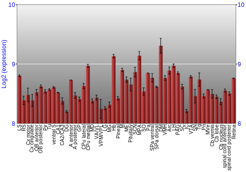 Expression graph