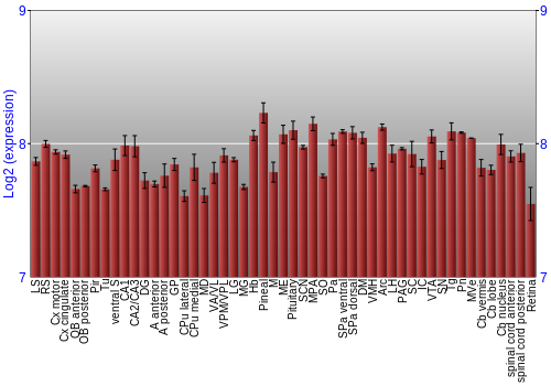 Expression graph