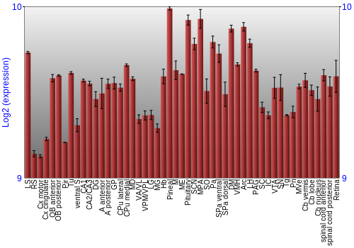 Expression graph