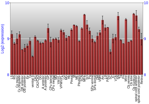 Expression graph