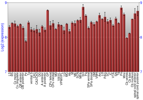 Multi-state expression graph