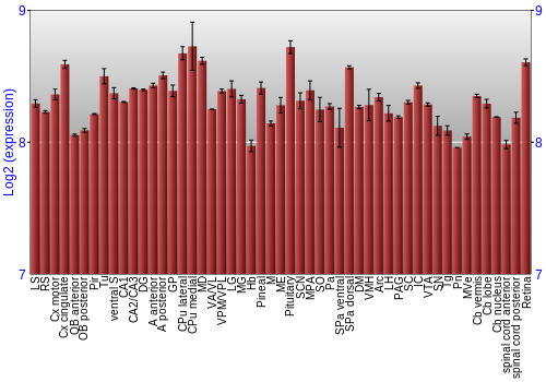 Expression graph