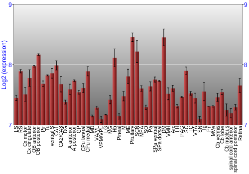 Expression graph