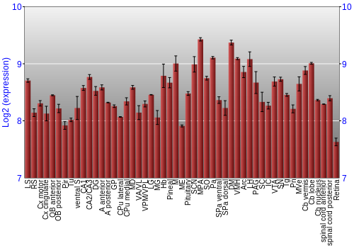 Expression graph